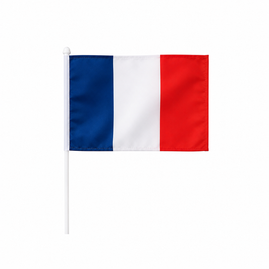France Hand Flag 14x21cm